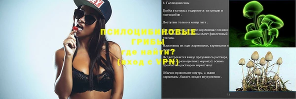 ешки Абинск