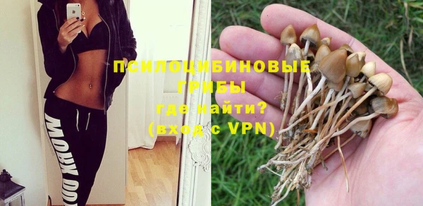 ешки Абинск