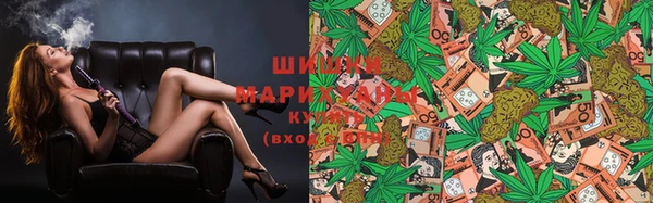 гидра Пролетарск