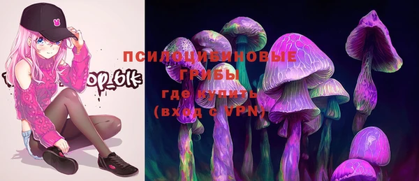 прущий лед Протвино