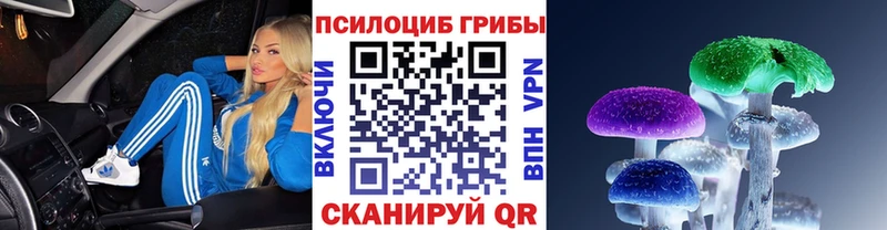 Псилоцибиновые грибы GOLDEN TEACHER  blacksprut ссылка  Полярный 